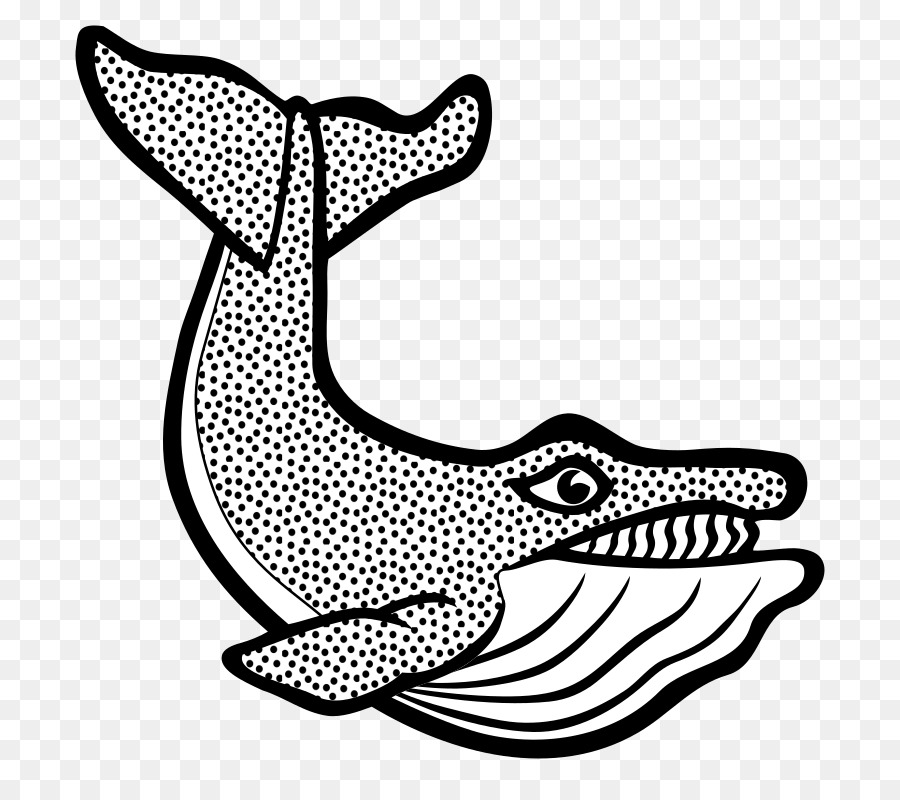 Clip art Cetacea di grafica Vettoriale Immagine della balena Blu - Balena Disegno