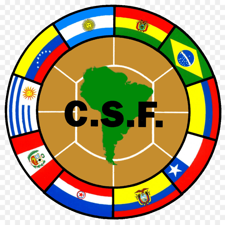 2018 della Coppa del Mondo di Copa Sudamericana 2014 FIFA World Cup Argentina squadra nazionale di c - Calcio