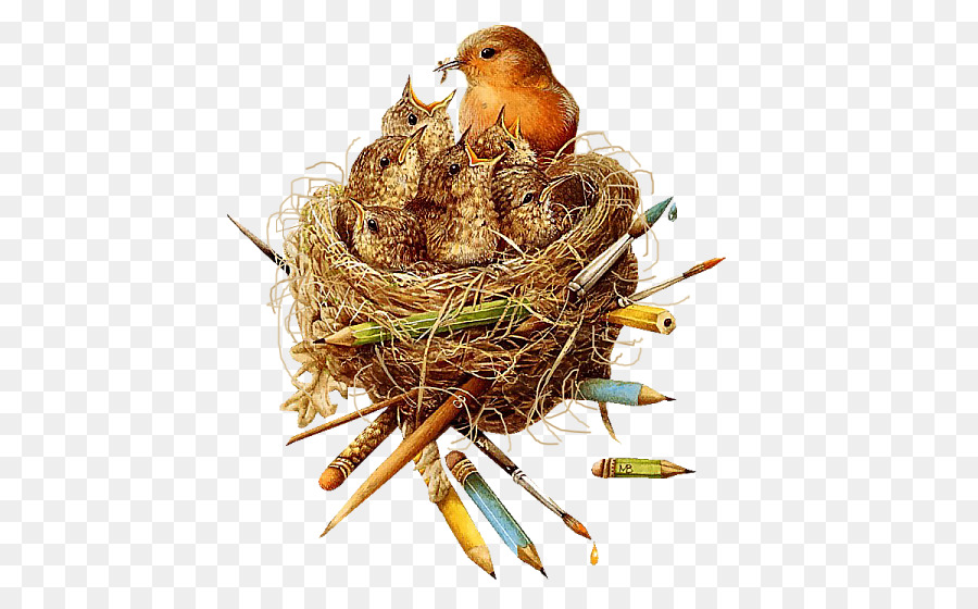 Bird nest europäischen robin Portable Network Graphics Clip art - Vogel