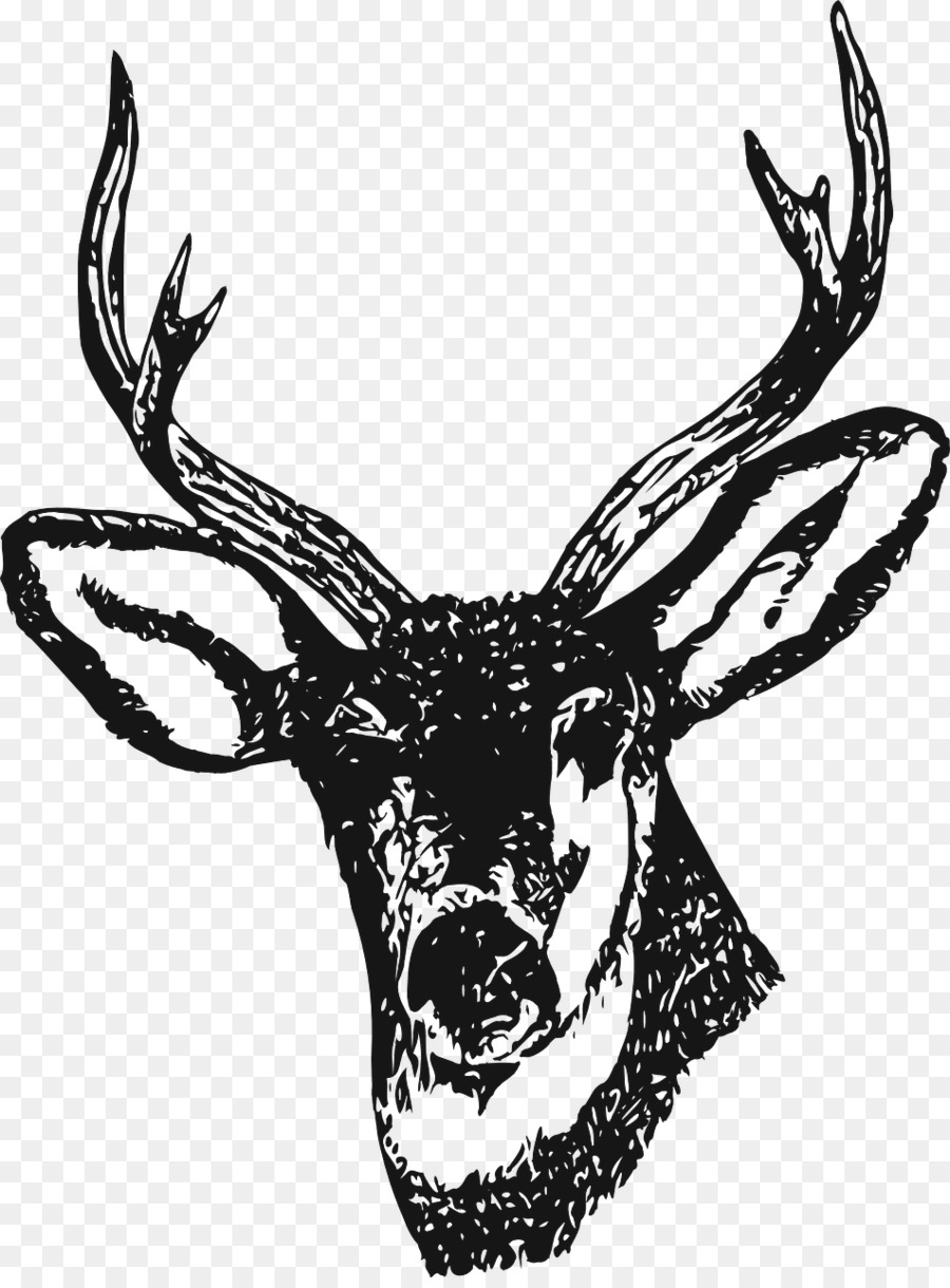 White-tailed deer Clip-art-Elch-Rotwild - Hirsch