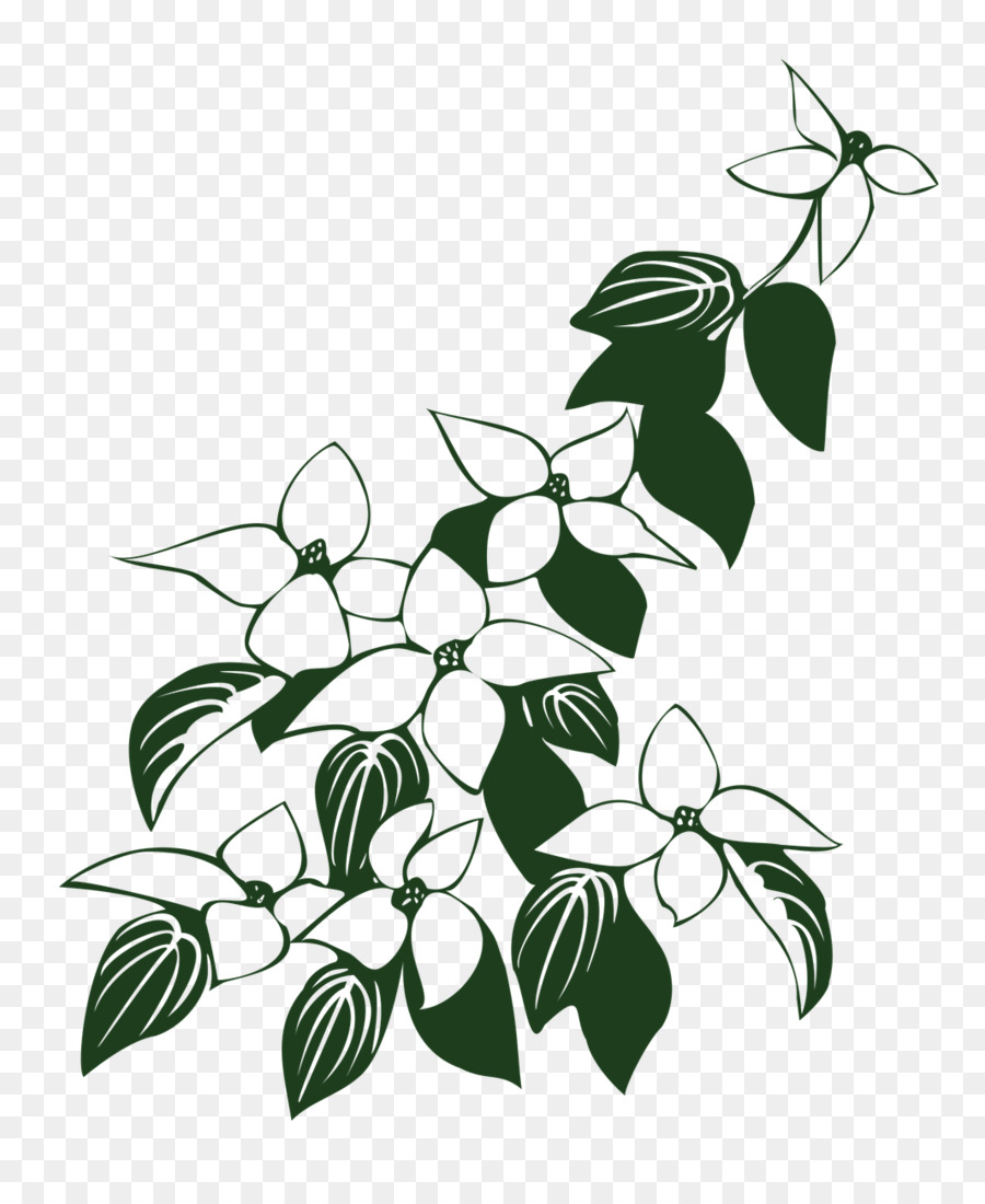 Hoa đào Kousa Vẽ dương đào Tơ đồ họa Clip nghệ thuật - hoa