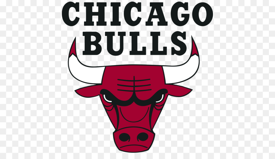 2018-19 Chicago Bò mùa Logo bóng Rổ - nba