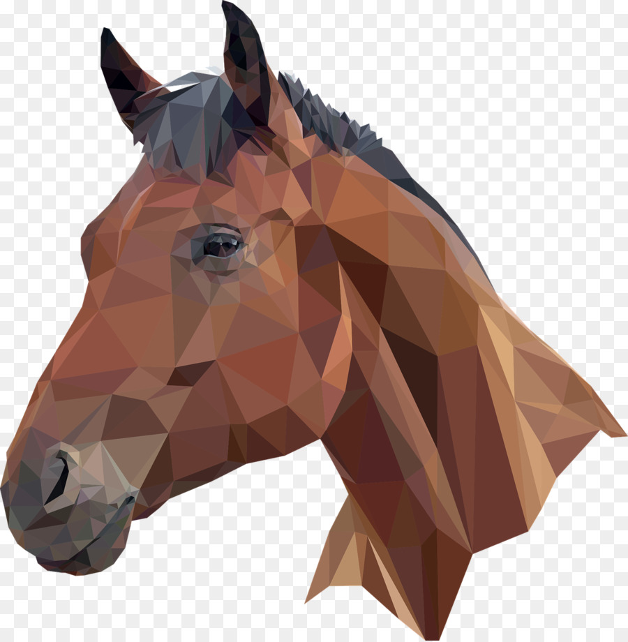 Testa di cavallo maschera clipart cavallo Arabo Portable Network Graphics Immagine - gratis cavallo