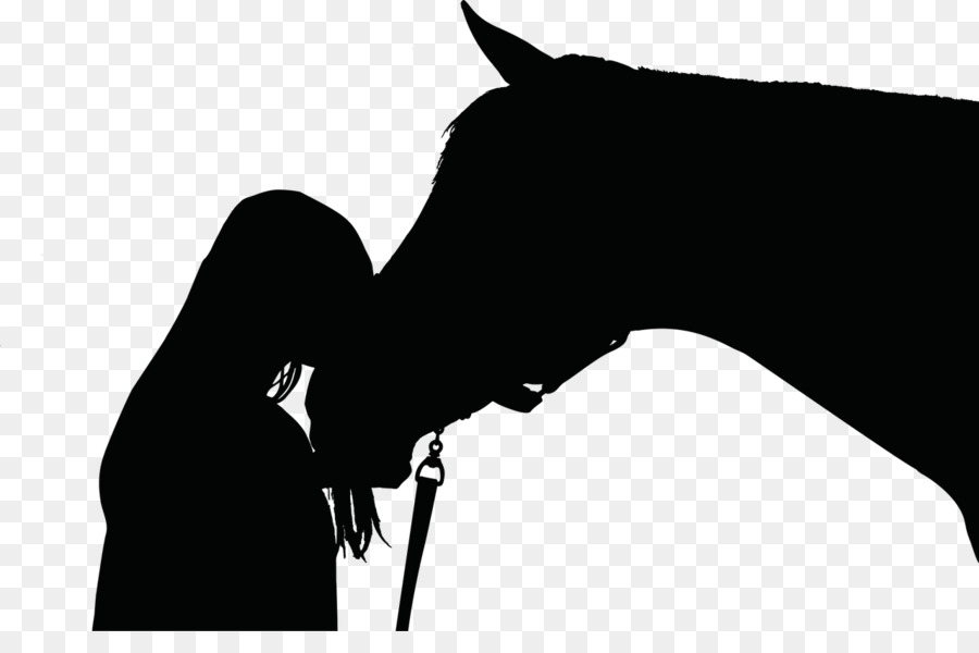 Di equitazione, Pony, cavallo Arabo Clip art Mustang - mustang