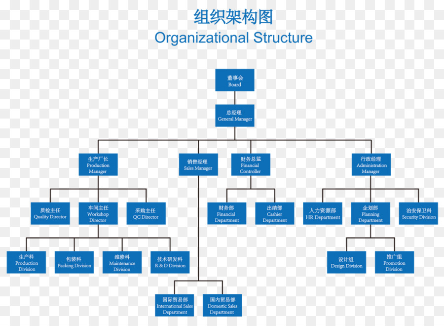 Struttura organizzativa organigramma Diagramma - attività commerciale