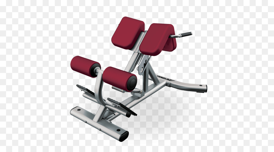 Esercizio attrezzature Fitness, centro sedia Romana Iperestensione - gru attrezzature per il fitness
