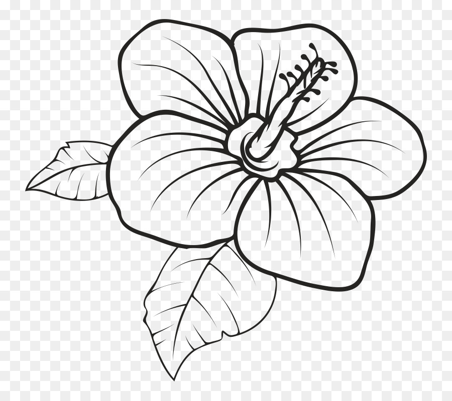 Fantasia floreale Hawaii Disegno Clip art grafica Vettoriale - fiore