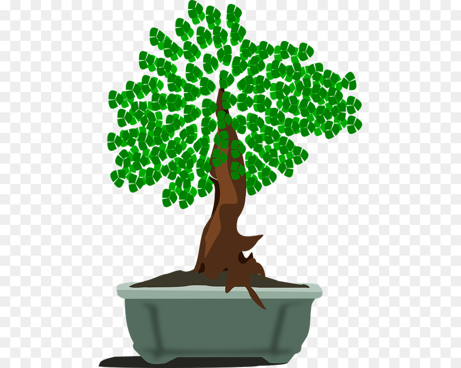 Bonsai-Baum-Grafik-clipart-Bild - Baum