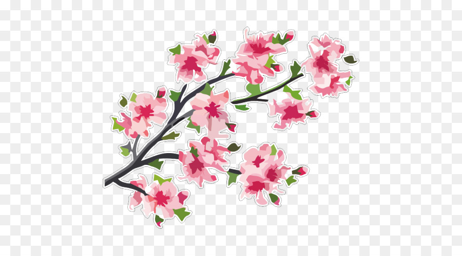 Japan Kirschblüten-Vektor-Grafik-Zweig - Japan