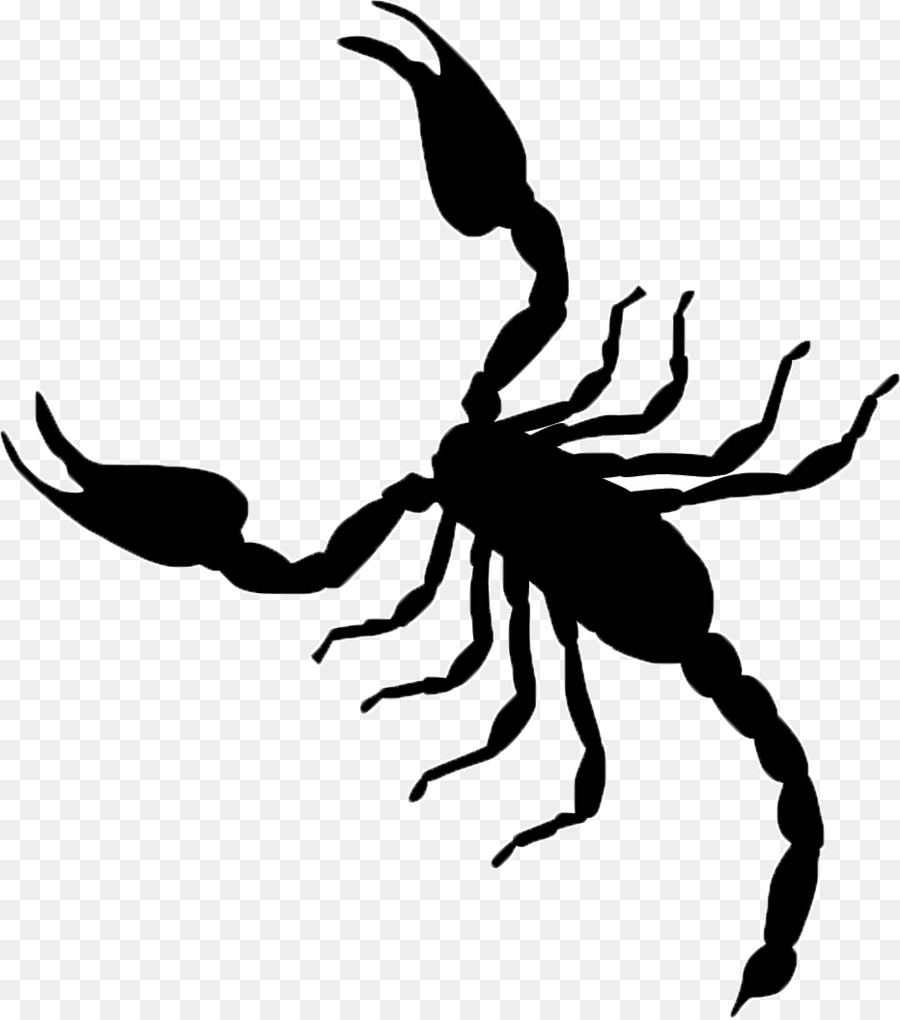 Scorpion Vektorgrafik clipart Illustration - Skorpion