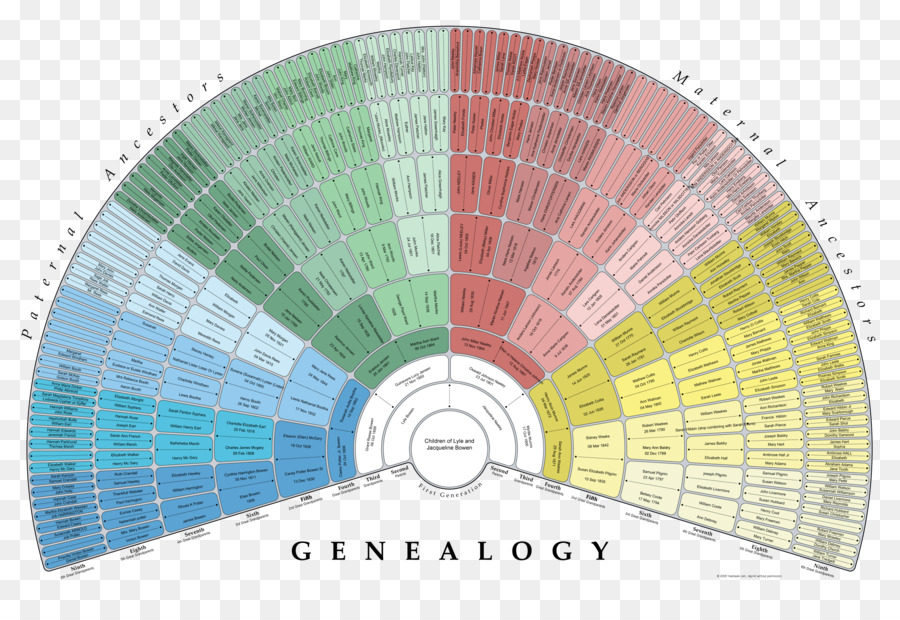 Genealogia Family tree albero genealogico di FamilySearch Antenato - famiglia