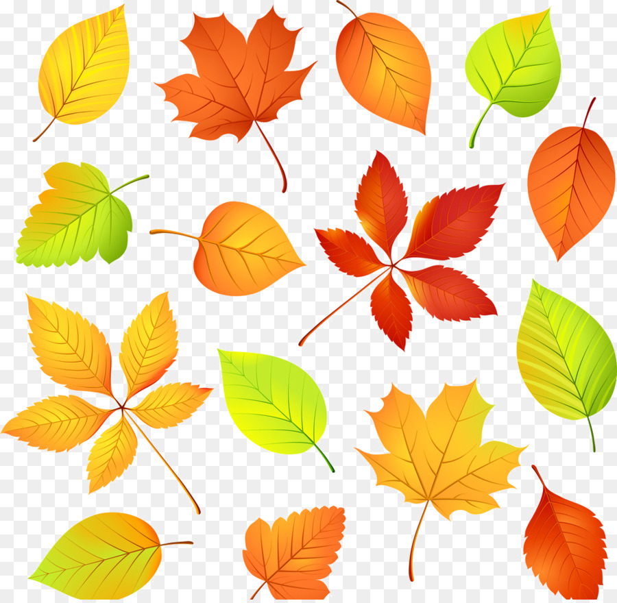Autunno Clip art grafica Vettoriale Illustrazione Foglia - autunno