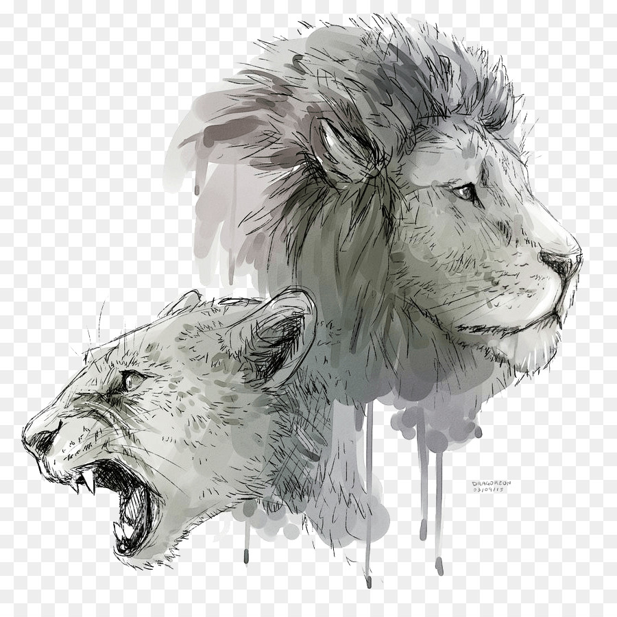 Lion 's roar Katze-Zeichnung Lion' s roar - Löwe