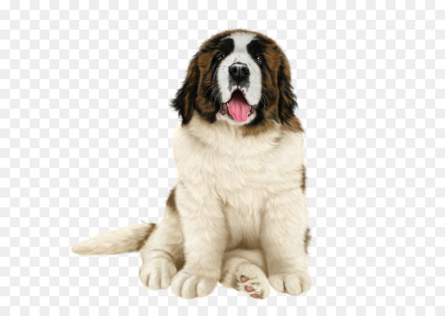 Pyrenäen Mastiff, St. Bernard Hund Rasse Moskau Watchdog Landseer Hund - Neufundland Hund