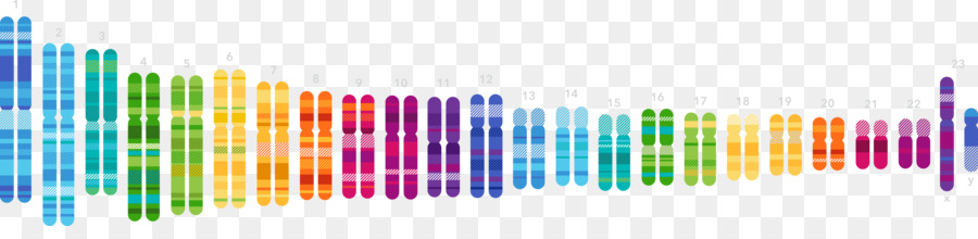 23andMe di Truyền thử nghiệm Gen di Truyền học DNA - chuỗi adn
