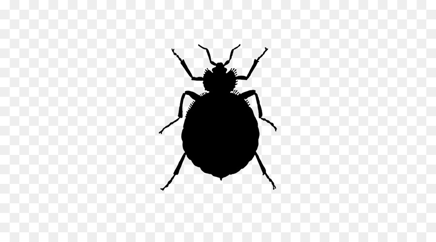 Insetto Letto bug morso di Controllo dei Parassiti - insetto
