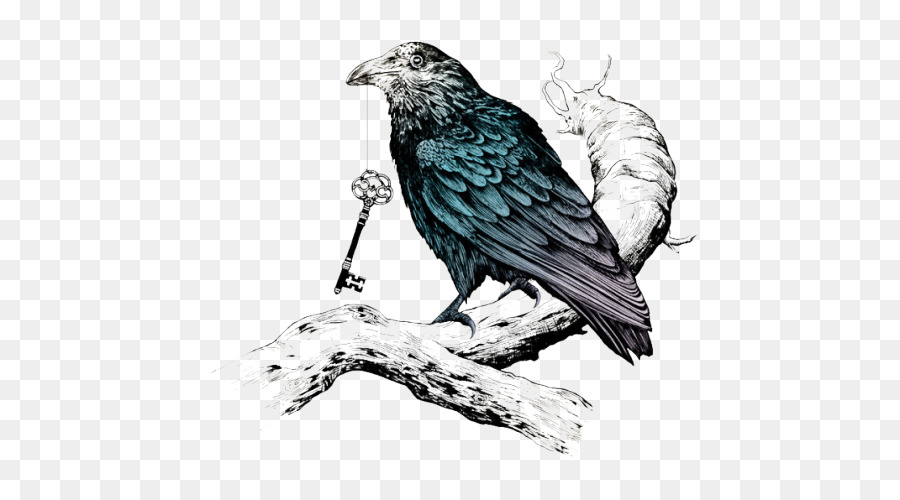 Corvo Comune di famiglia raven Tatuaggio di Raven Chiave - corvo