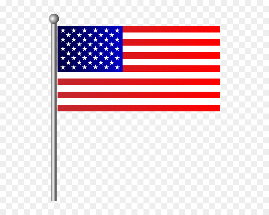 Byte Balance, LLC Flagge der Vereinigten Staaten, San Diego Leigh C. E. Primary School - Flagge