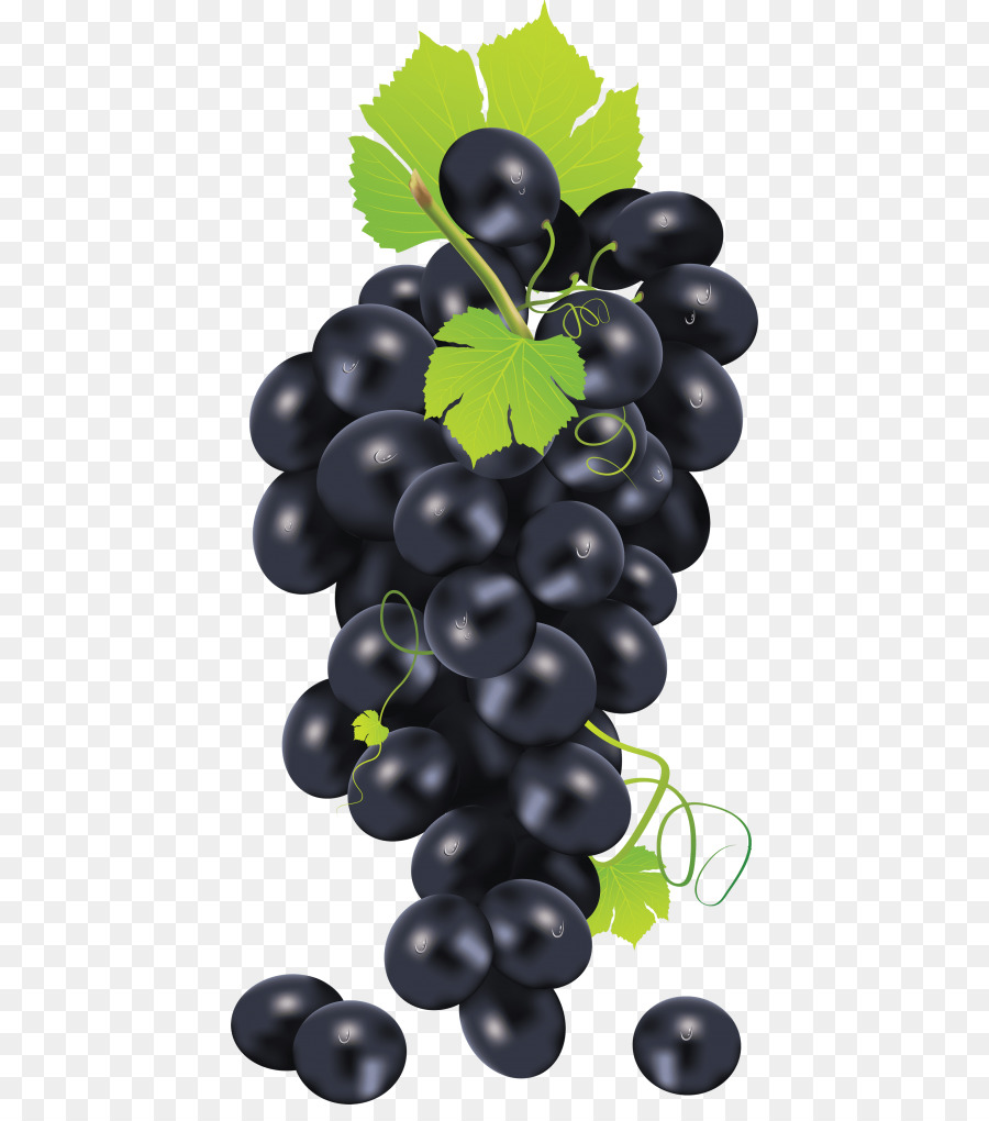 Comune di Uva Uva da vino di olio di semi di Clip art grafica Vettoriale - uva