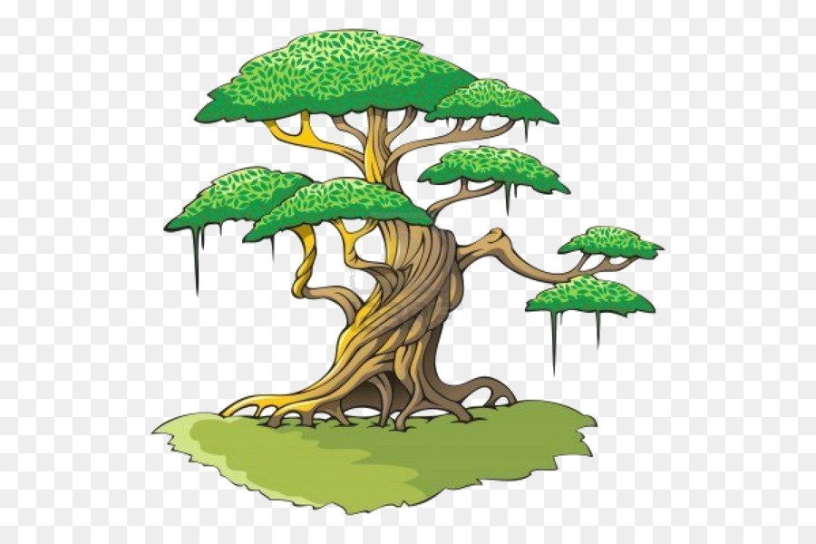 Bonsai Tree Png Download 600 600 Free Transparent Drawing Png Download Cleanpng Kisspng