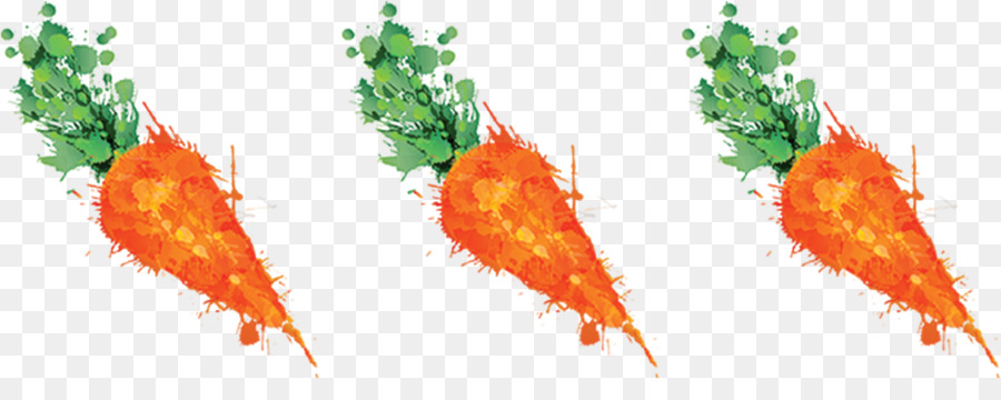 Il succo di carota Vegetale Romanesco broccoli - carota