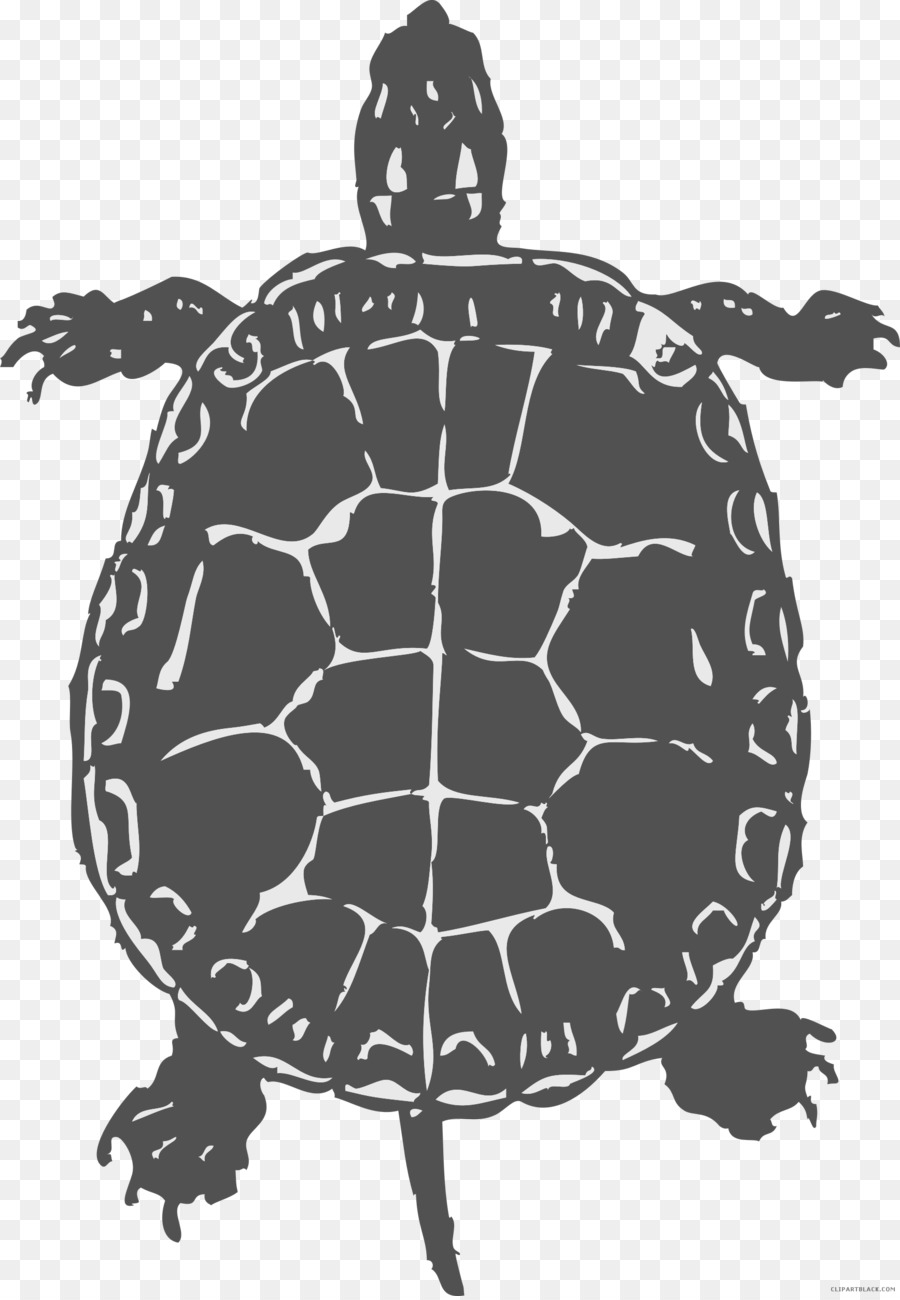 Gemeinsame snapping-Schildkröten-Reptilien-Sea turtle Clip art - Schildkröte