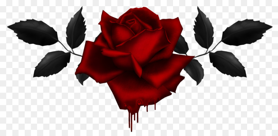 Clip nghệ thuật Di động Mạng đồ Họa Vẽ hình Ảnh Rose - Hoa hồng