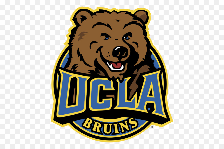 University of California, Los Angeles (UCLA Bruins Orso di calcio Logo Brand - Orso