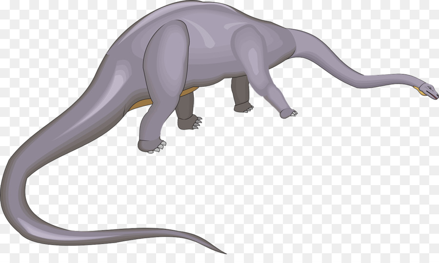 Dinosauro Long Tail Keyword Tyrannosaurus Rettile - Dinosauro