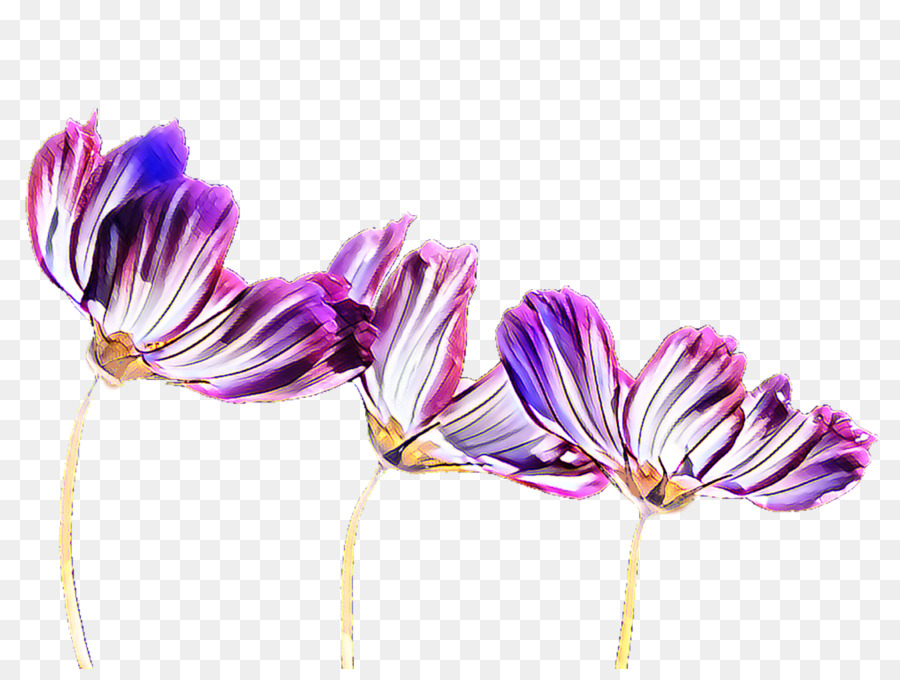 Lila Blühende pflanze, Pflanzen - Blaue Blume hintergrund transparent