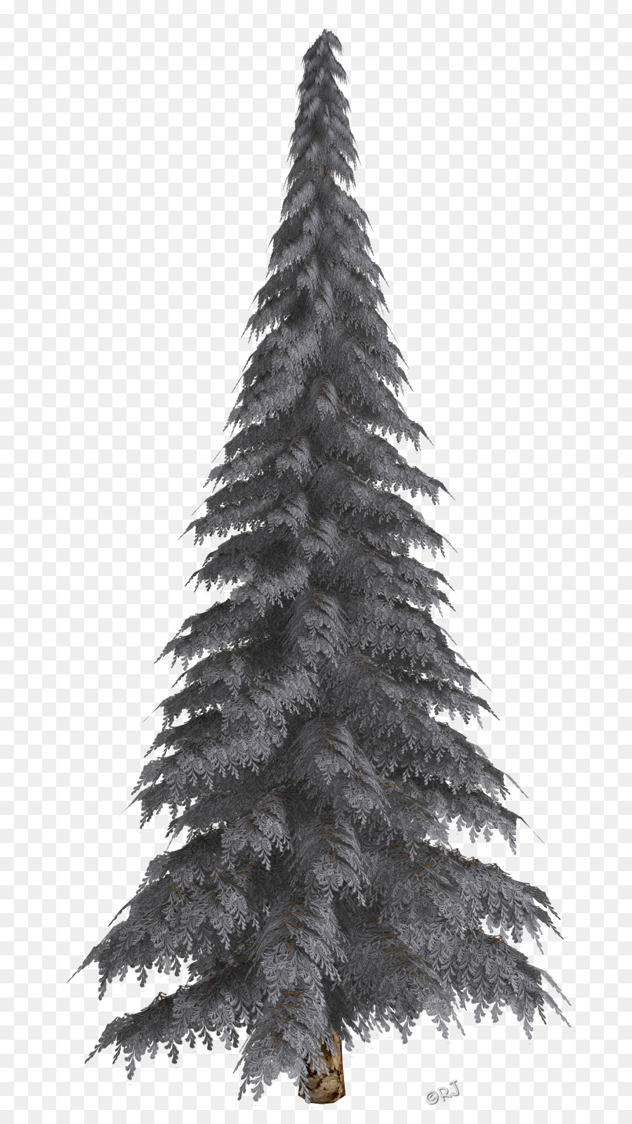 Fir-Pine-Weihnachtsbaum Christmas ornament - Weihnachtsbaum