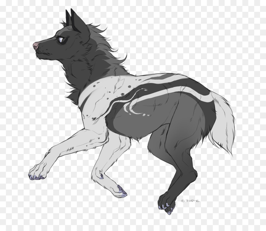 Mulo Puledro Di Asino Stallone Mustang - cane lupo cecoslovacco nero