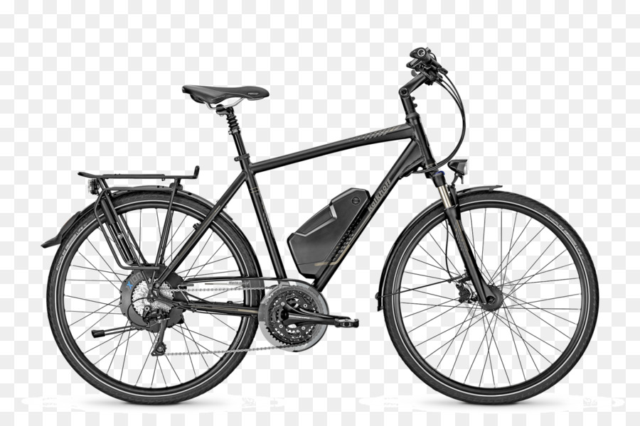 Elektro-Fahrrad-Fahrrad Shop-Fahrrad Rahmen Shimano - Fahrrad