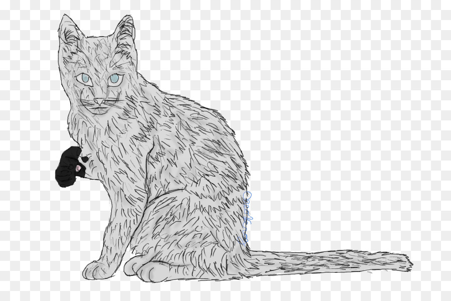 Schnurrhaare Wildcat Inländischen Kurzhaar Katze, Tabby cat - Katze