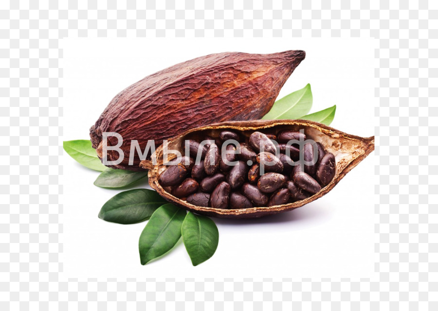 Kakao-Bohnen Kakao Feststoffe Heiße Schokolade-Schokolade-Likör - Schokolade