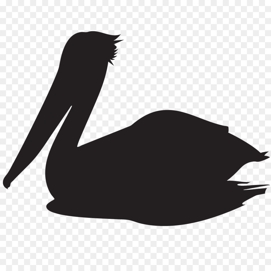Schnabel, Vogel clipart Silhouette American white pelican - Vogel