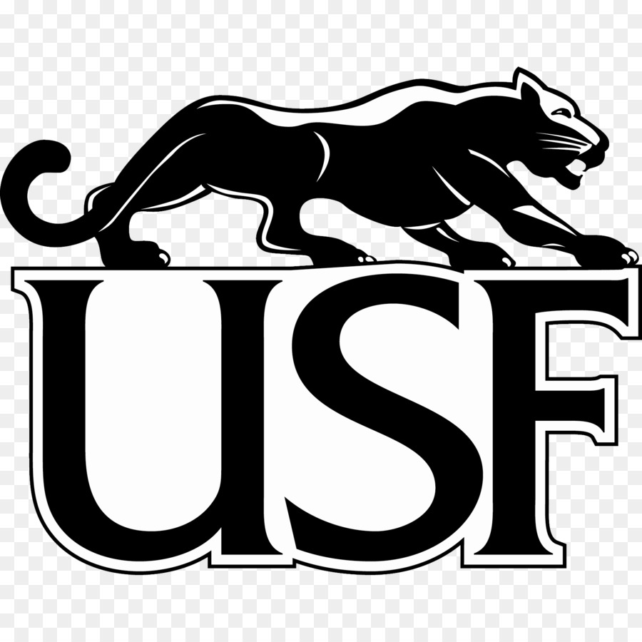 Università di Sioux Falls Sioux Falls Cougars di calcio South Florida Bulls calcio University of South Florida St. Cloud State University - Football americano