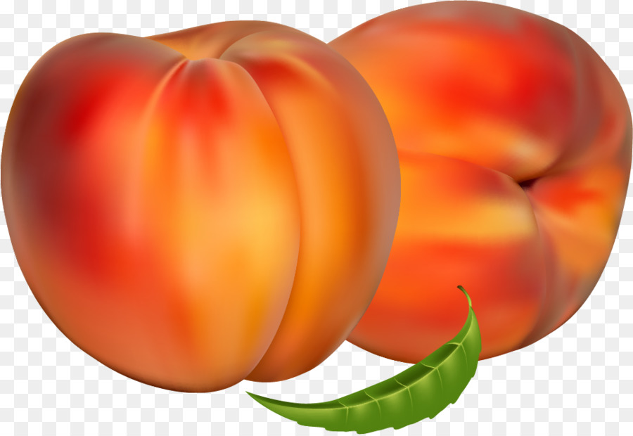 Clip art di Frutta Nettarina di grafica Vettoriale, Cibo - pomodoro