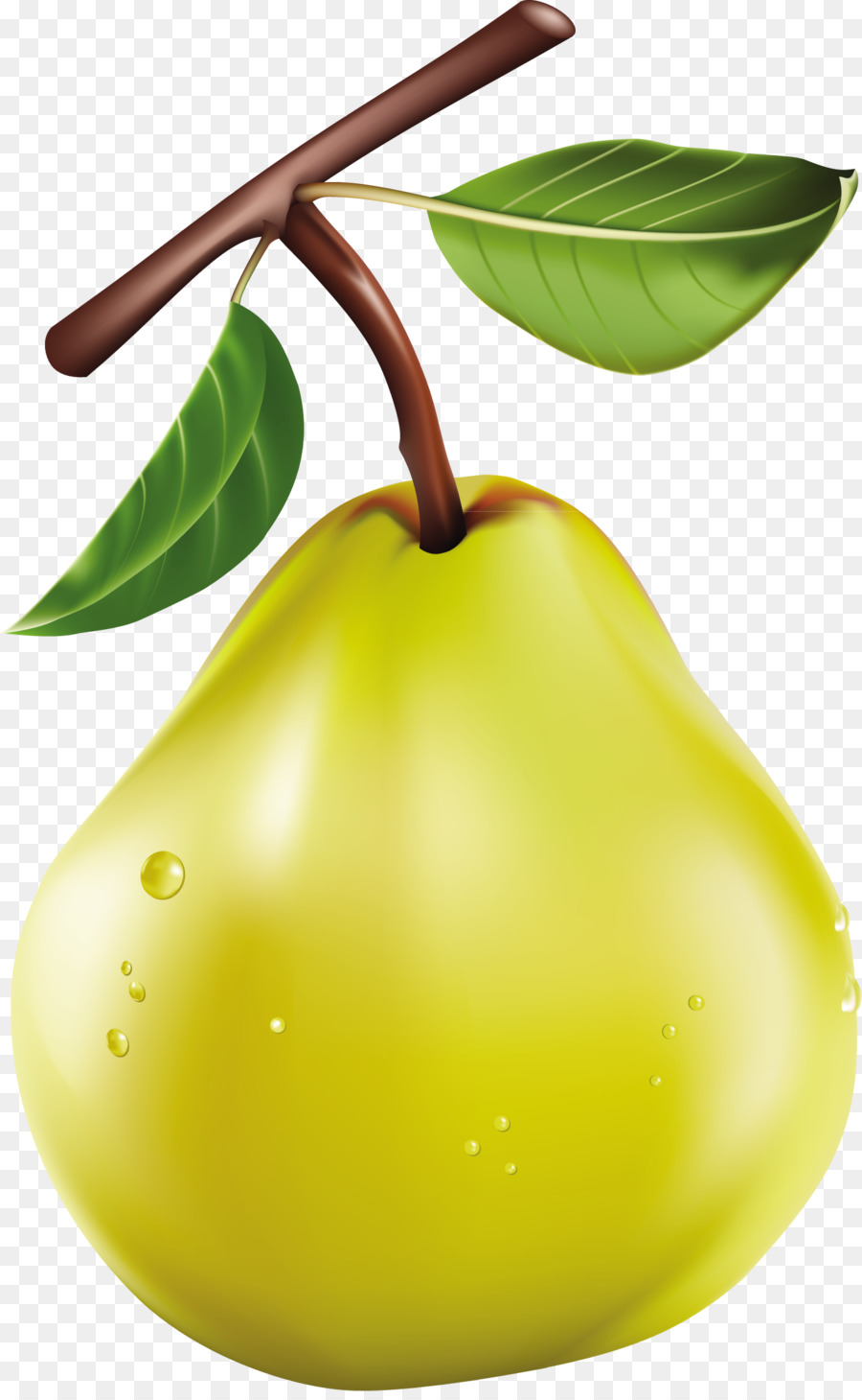 Clip art di Frutta Openclipart Portable Network Graphics Immagine - vegetale