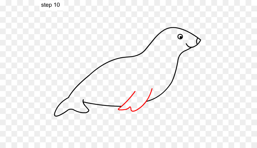 Sea lion Immagine del Disegno Illustrazione Clip art - baby animali selvatici