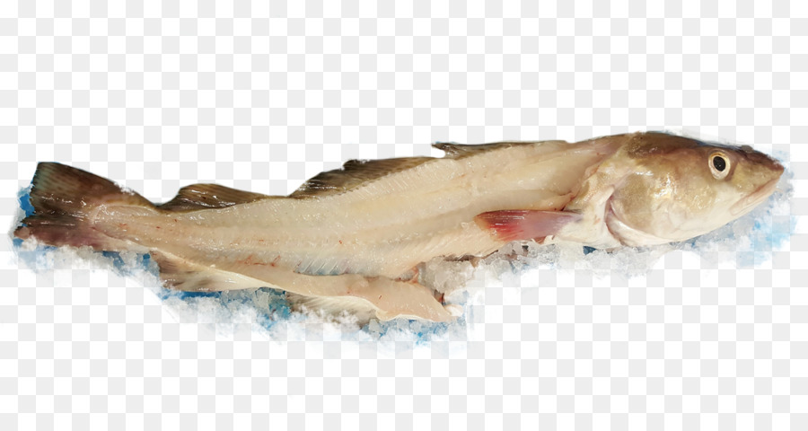 Whitefish a base di Pesce prodotti a base di Pesce merluzzo - pesce