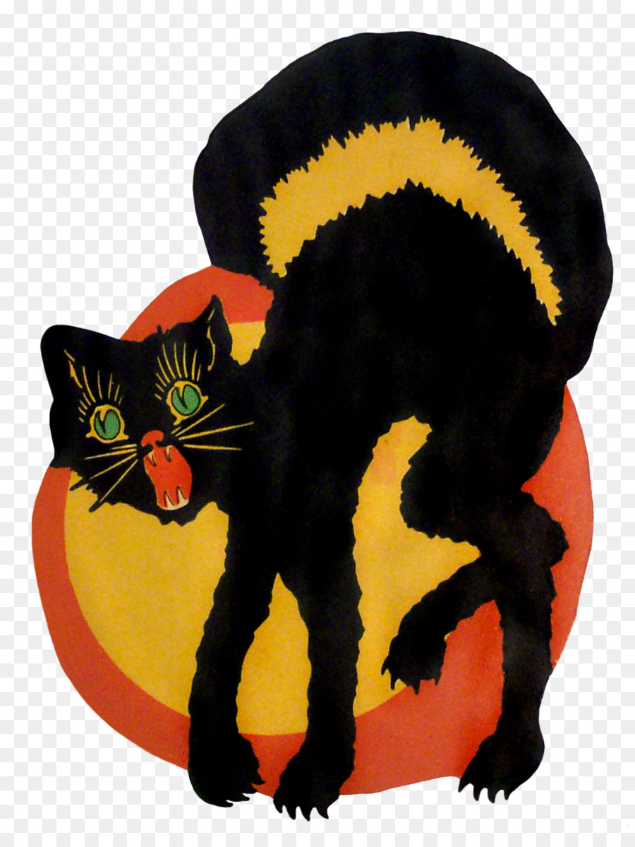 Gatto nero gatto Bombay Halloween Domestico gatto pelo corto Baffi - Halloween