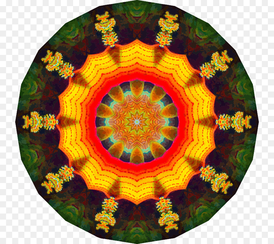 Actiniae Kaleidoscope