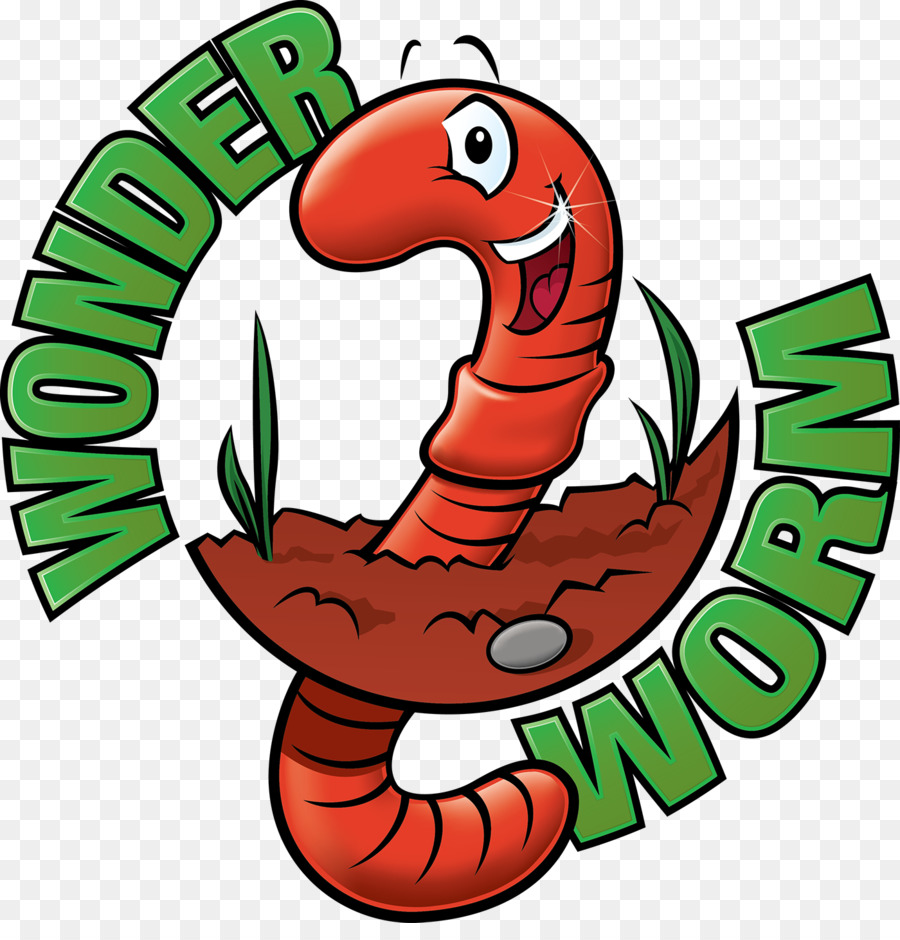 Big Red Worms Vermicompost Eisenia fetida - 18 verme