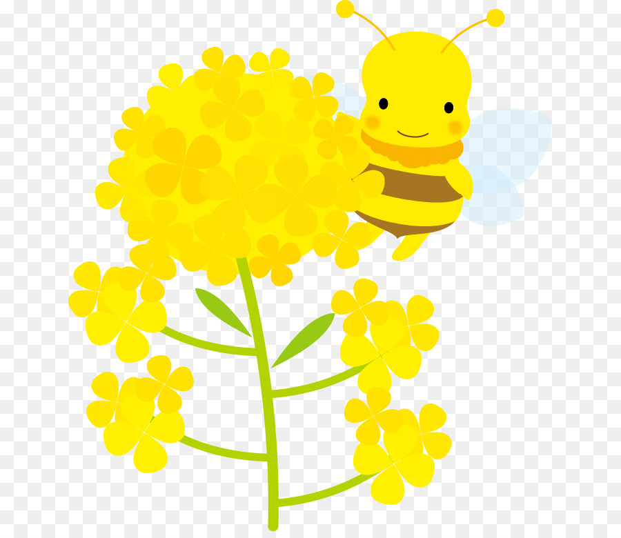Blüten und Bienen illustration.png - andere