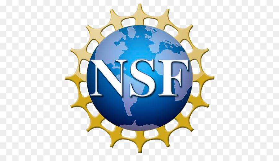National Science Foundation degli Stati Uniti d'America Logo Esperienze di Ricerca per Laureandi - scienza