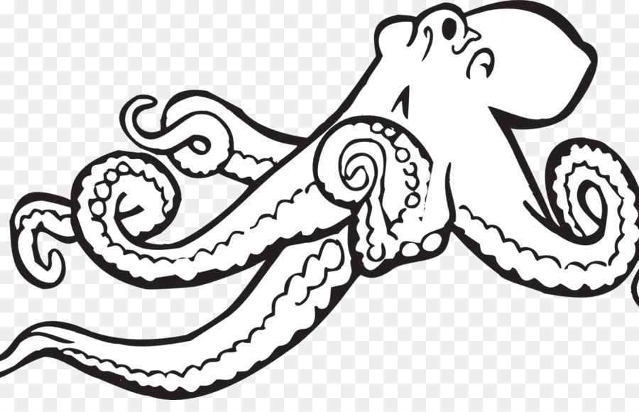 Bạch tuộc Clip nghệ thuật Western minh Họa nội dung miễn Phí - khổng lồ thái bình dương bạch tuộc kích thước