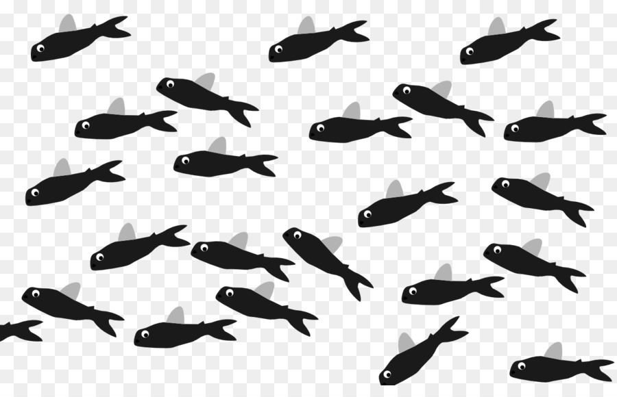 Pesci volanti Metri di Lunghezza Cavalluccio marino - coda di pesce 2014