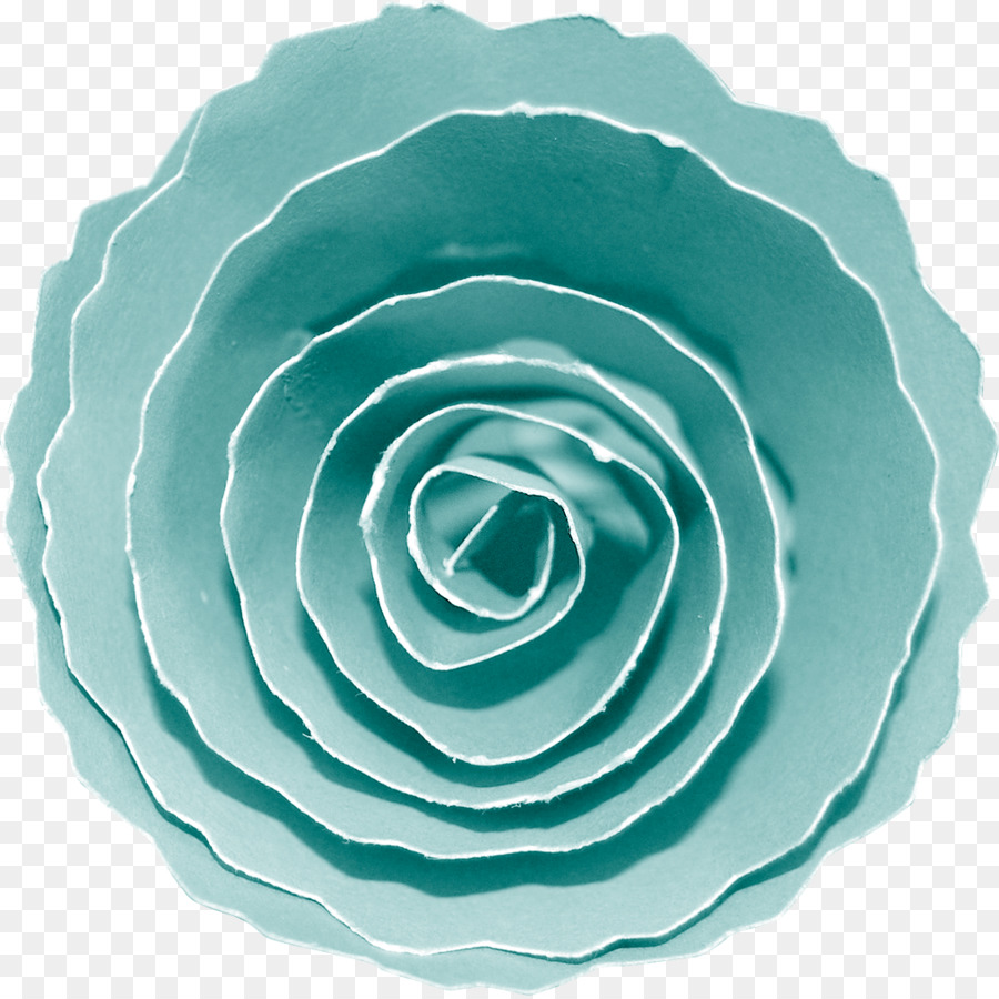 Blue rose Garden rose Petal - sogno di fiori