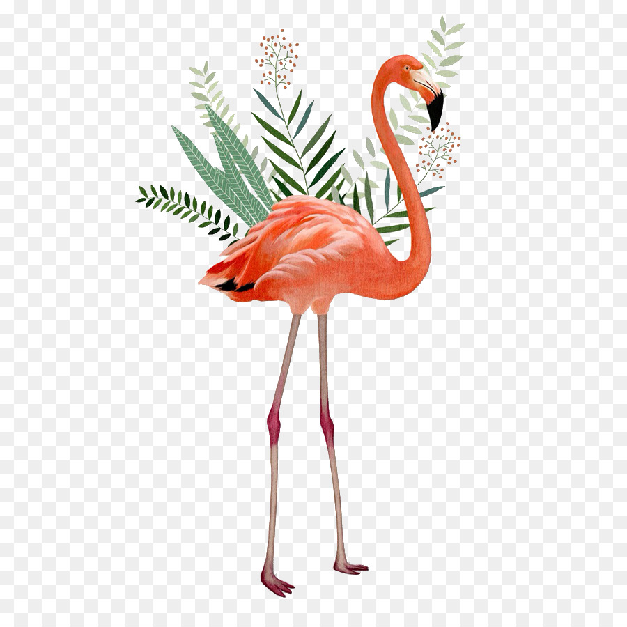 Desktop Wallpaper Vogel flamingo Clip-art - Vogel